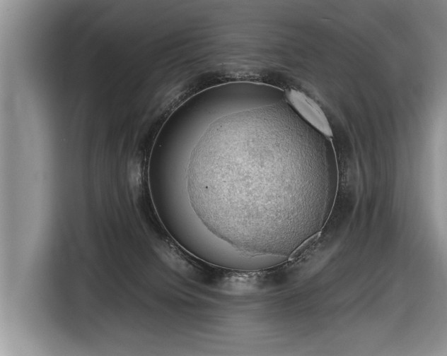 X0000116420084200912151007