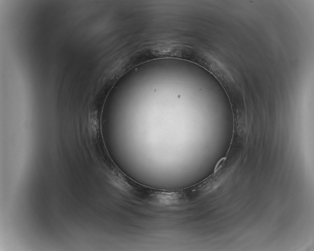 X0000116420085200912151007