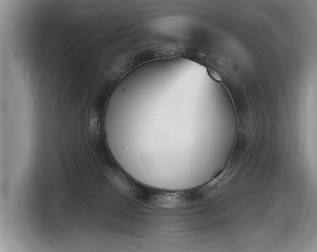 X0000116420086200912151007