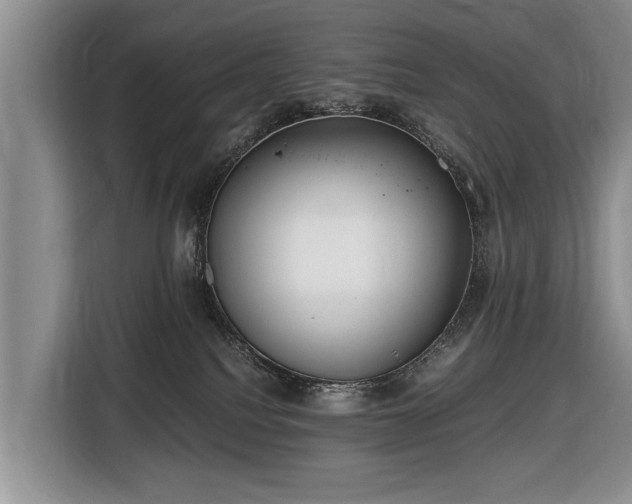X0000116420088200912151007