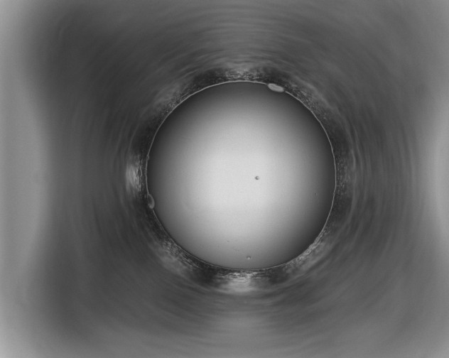 X0000116420090200912151007
