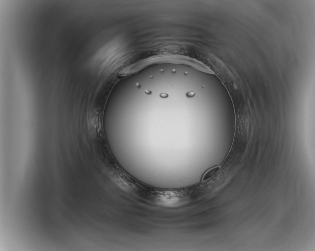 X0000116420091200912151007