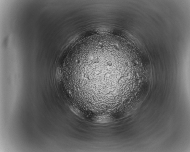 X0000116420093200912151007
