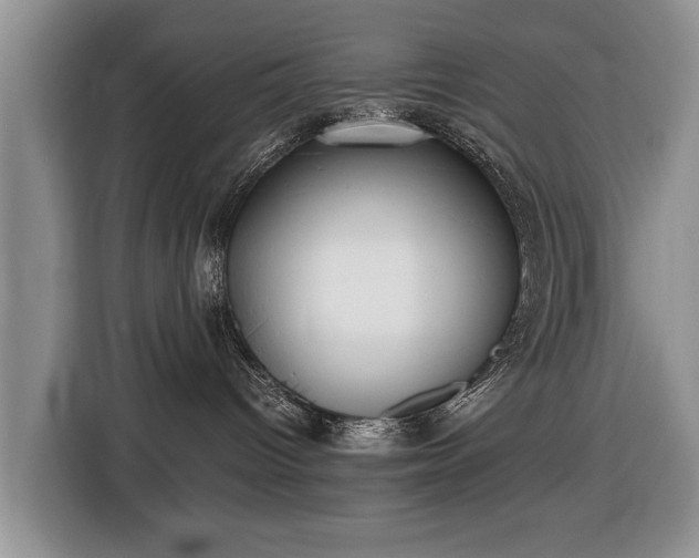 X0000116420096200912151007