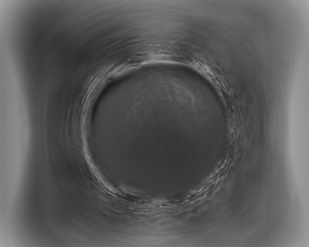 X0000116420097200912151006