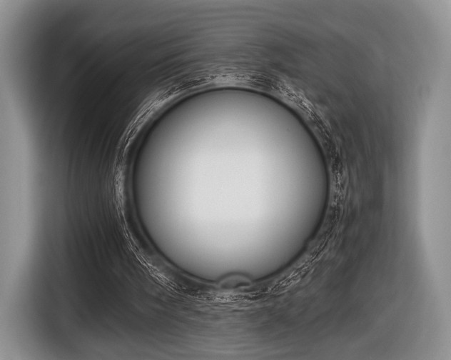 X0000116420098200912151006