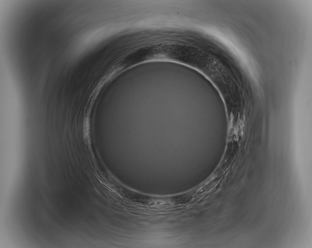 X0000116420099200912151006