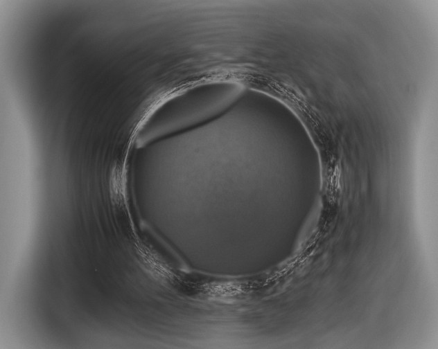 X0000116420100200912151006