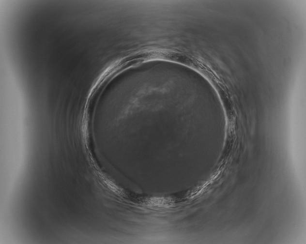 X0000116420101200912151006
