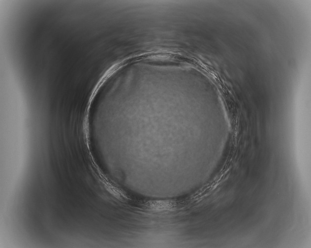 X0000116420102200912151006