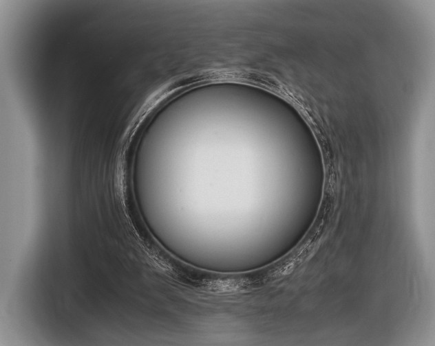 X0000116420103200912151006