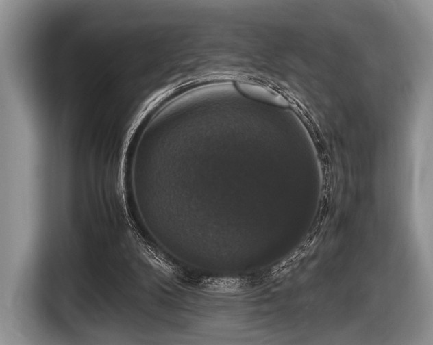 X0000116420104200912151006