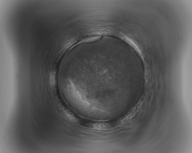 X0000116420105200912151006