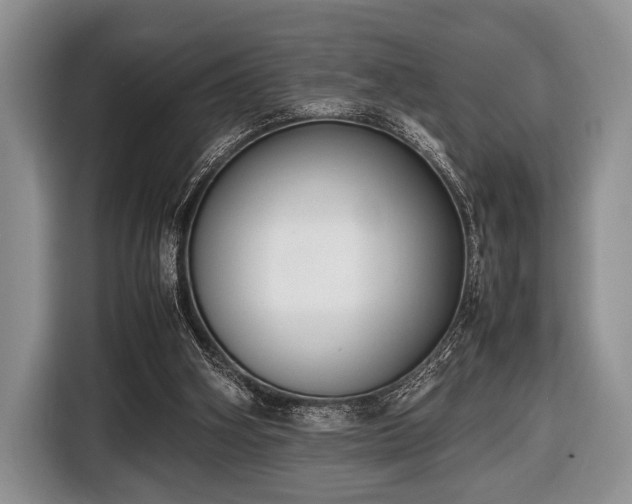 X0000116420106200912151006