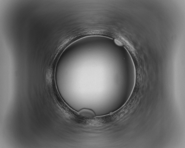 X0000116420107200912151006