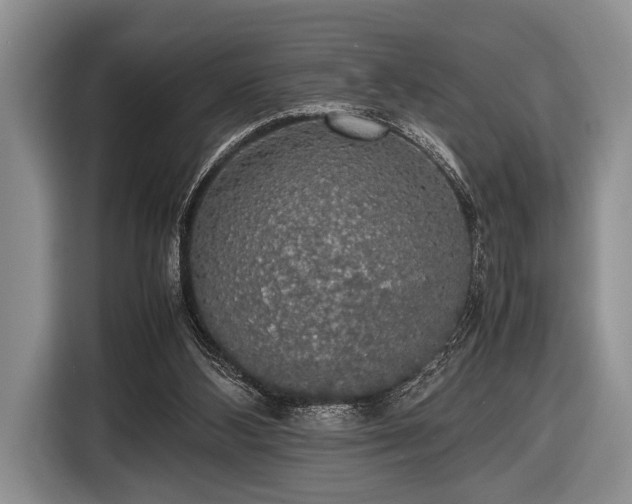 X0000116420108200912151006