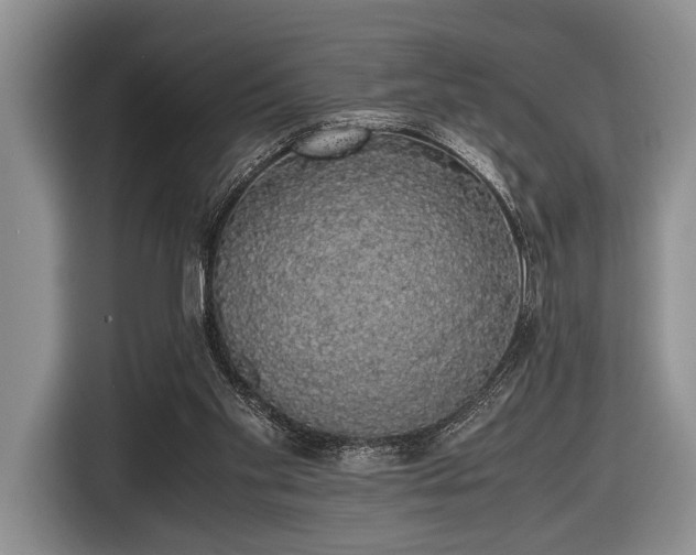 X0000116420109200912151006