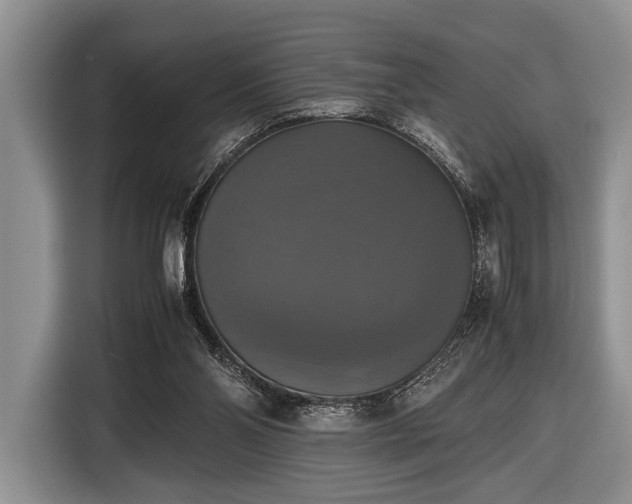 X0000116420110200912151006