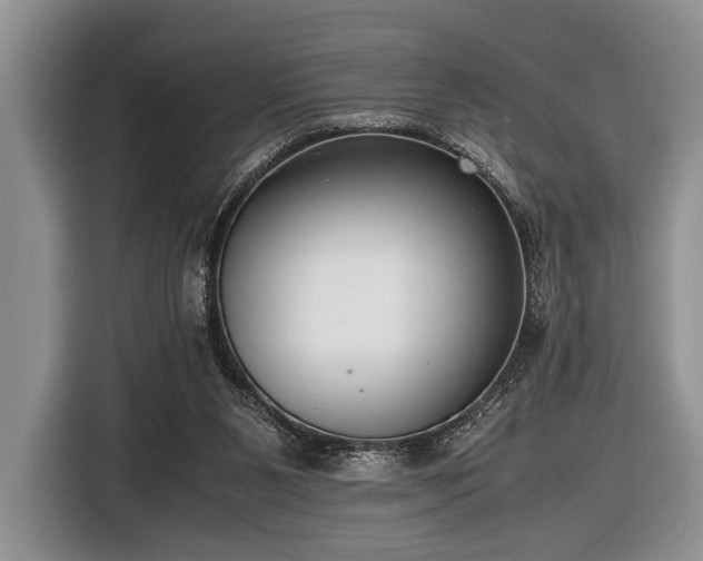 X0000116420111200912151006