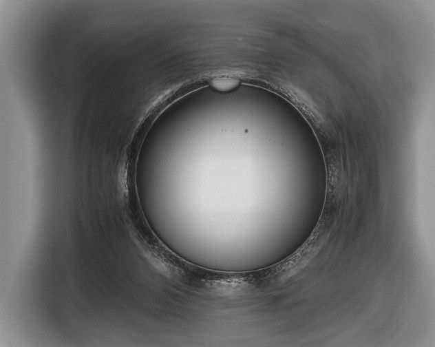 X0000116420112200912151006