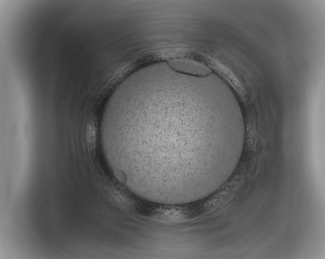X0000116420113200912151006