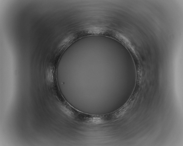 X0000116420114200912151006