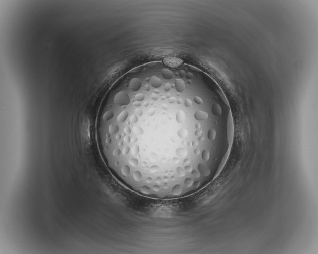 X0000116420115200912151006