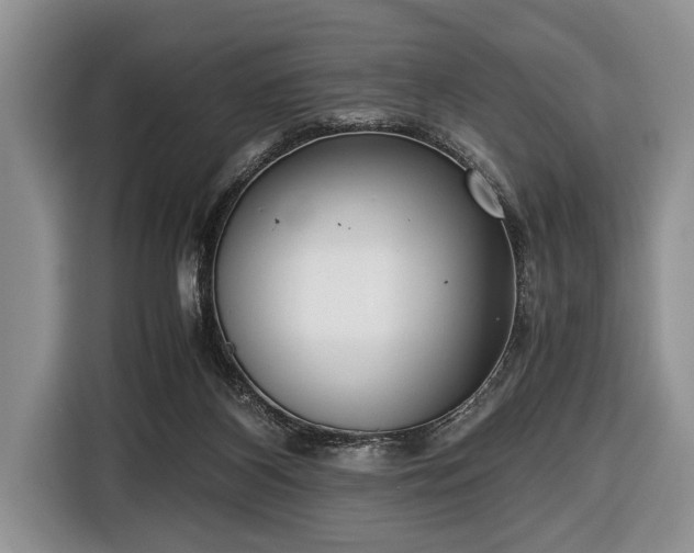 X0000116420116200912151006
