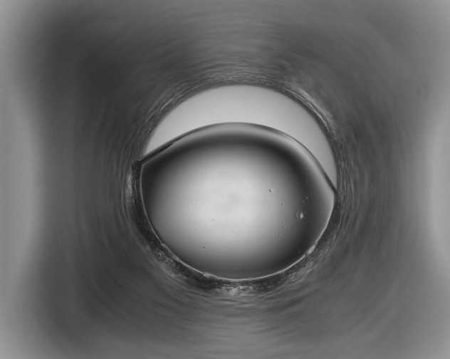 X0000116420117200912151006