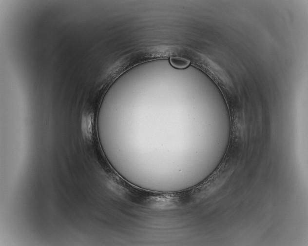 X0000116420118200912151006
