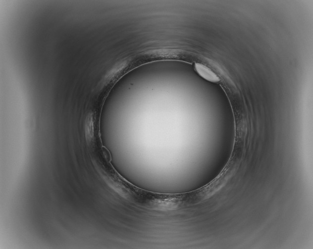 X0000116420120200912151006