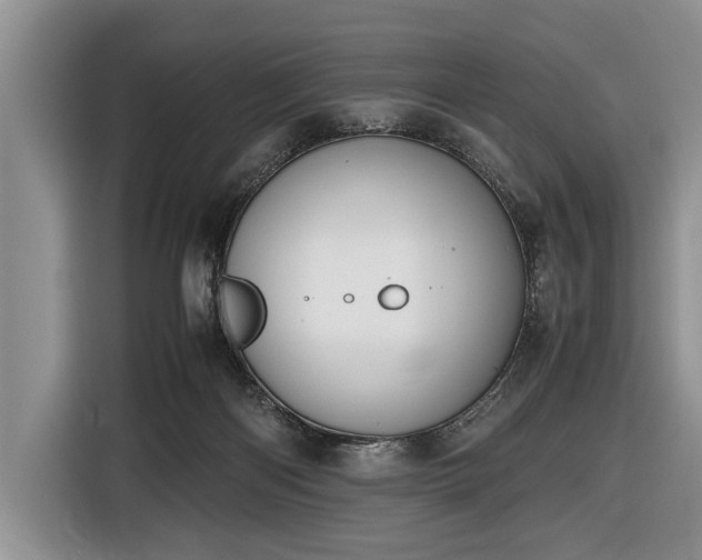X0000116420122200912151006