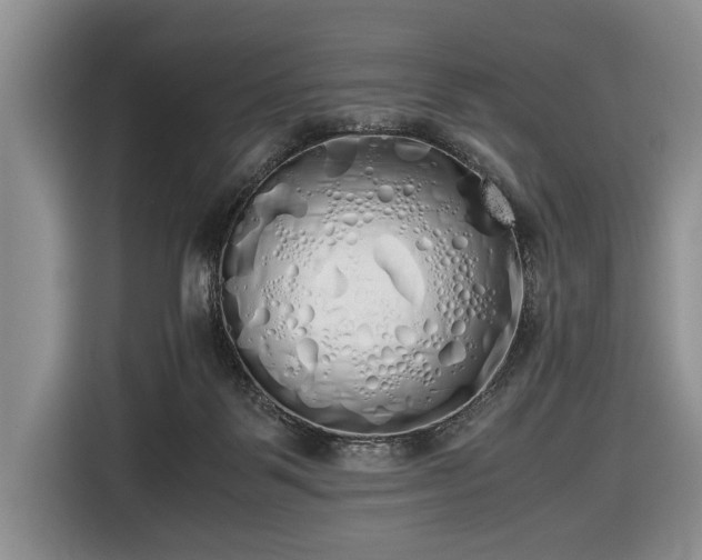 X0000116420123200912151006