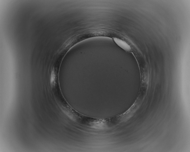 X0000116420124200912151006