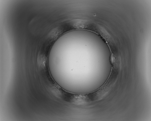 X0000116420125200912151006