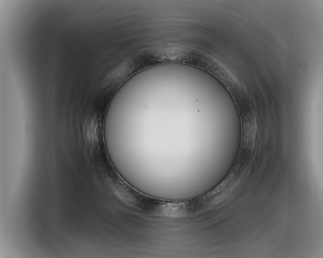 X0000116420126200912151006