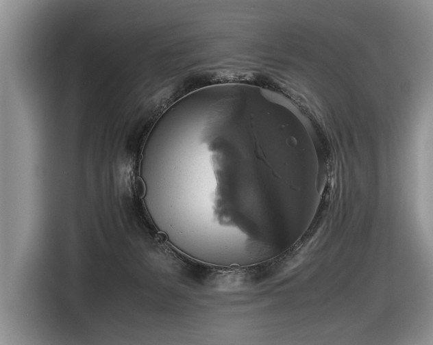 X0000116420127200912151006