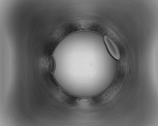 X0000116420129200912151006