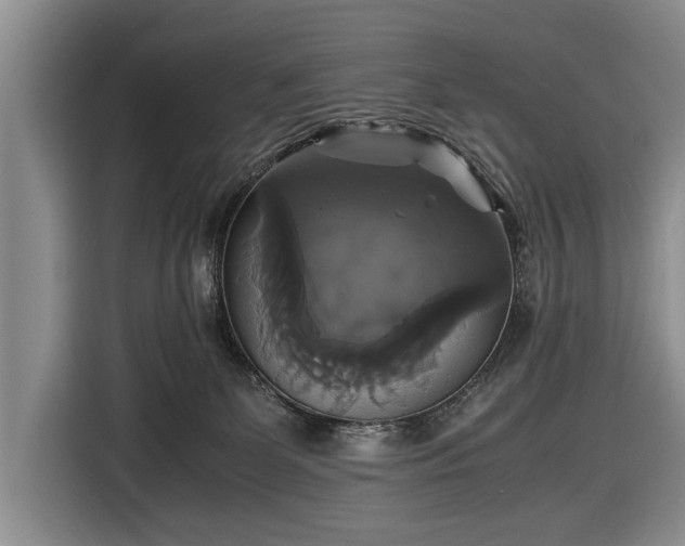 X0000116420131200912151006