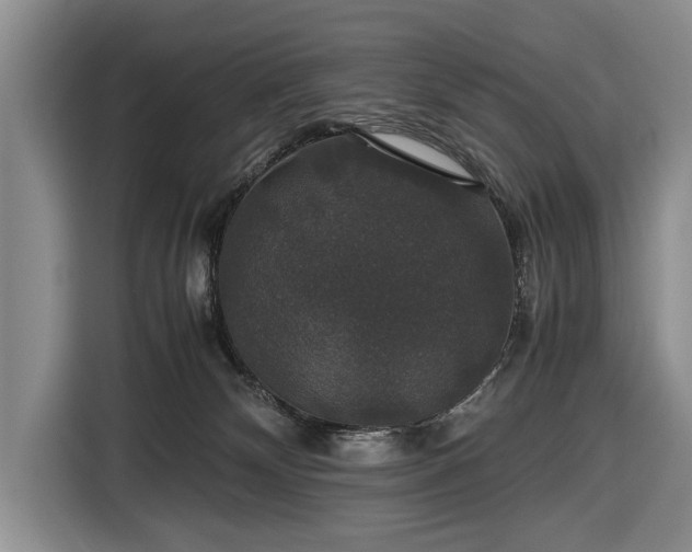 X0000116420132200912151006