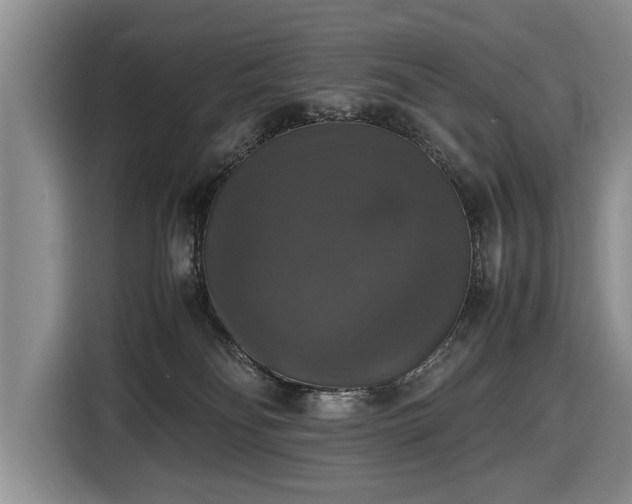 X0000116420134200912151006