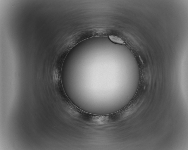 X0000116420135200912151006