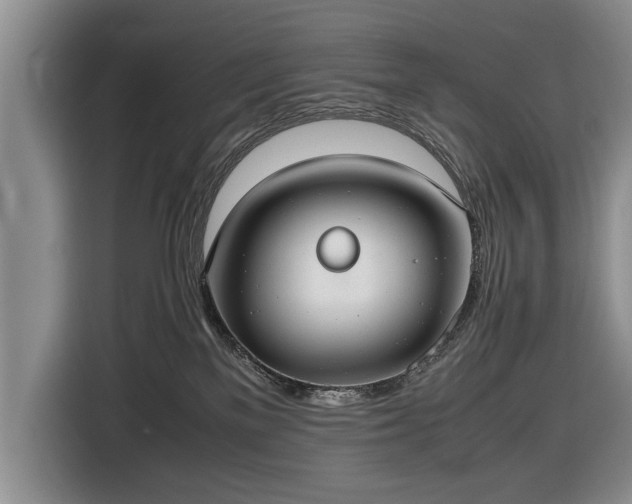 X0000116420137200912151006