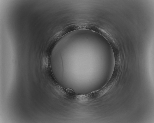 X0000116420139200912151006