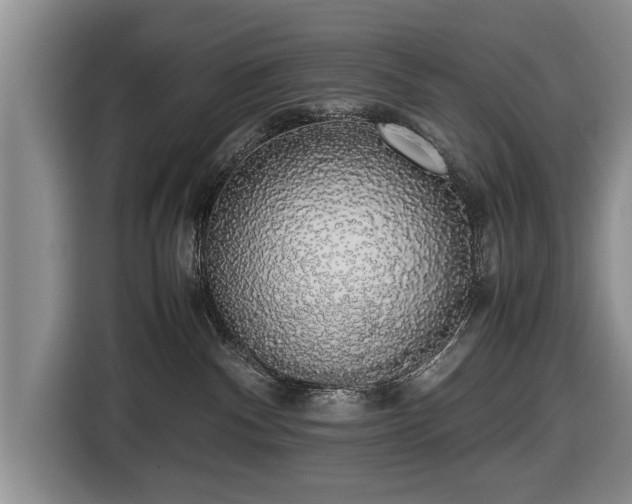 X0000116420140200912151006