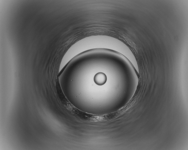X0000116420141200912151006
