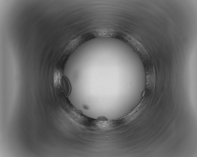 X0000116420142200912151006