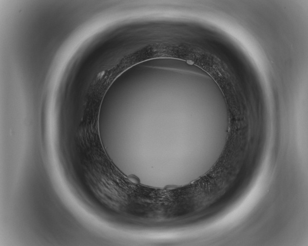 X0000116420143200912151006