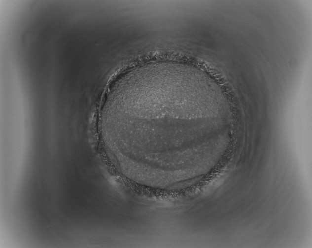X0000116420144200912151005