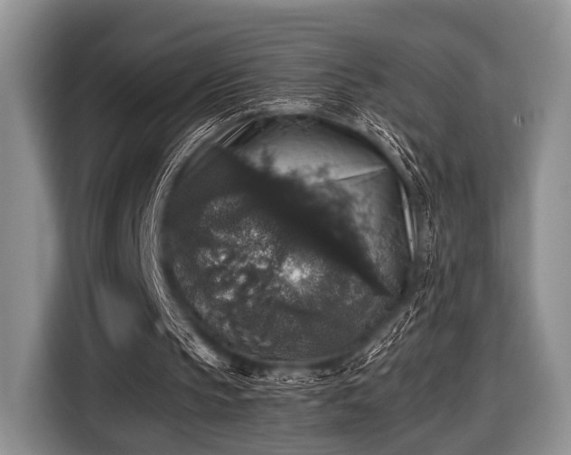 X0000116420145200912151005